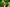 Promotion banner