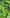 Promotion banner